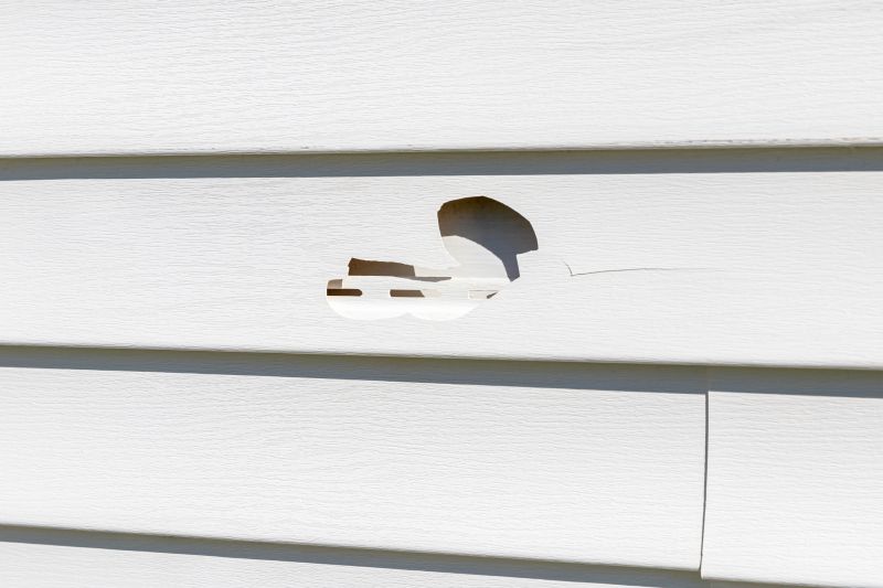 Damaged Siding Replacement